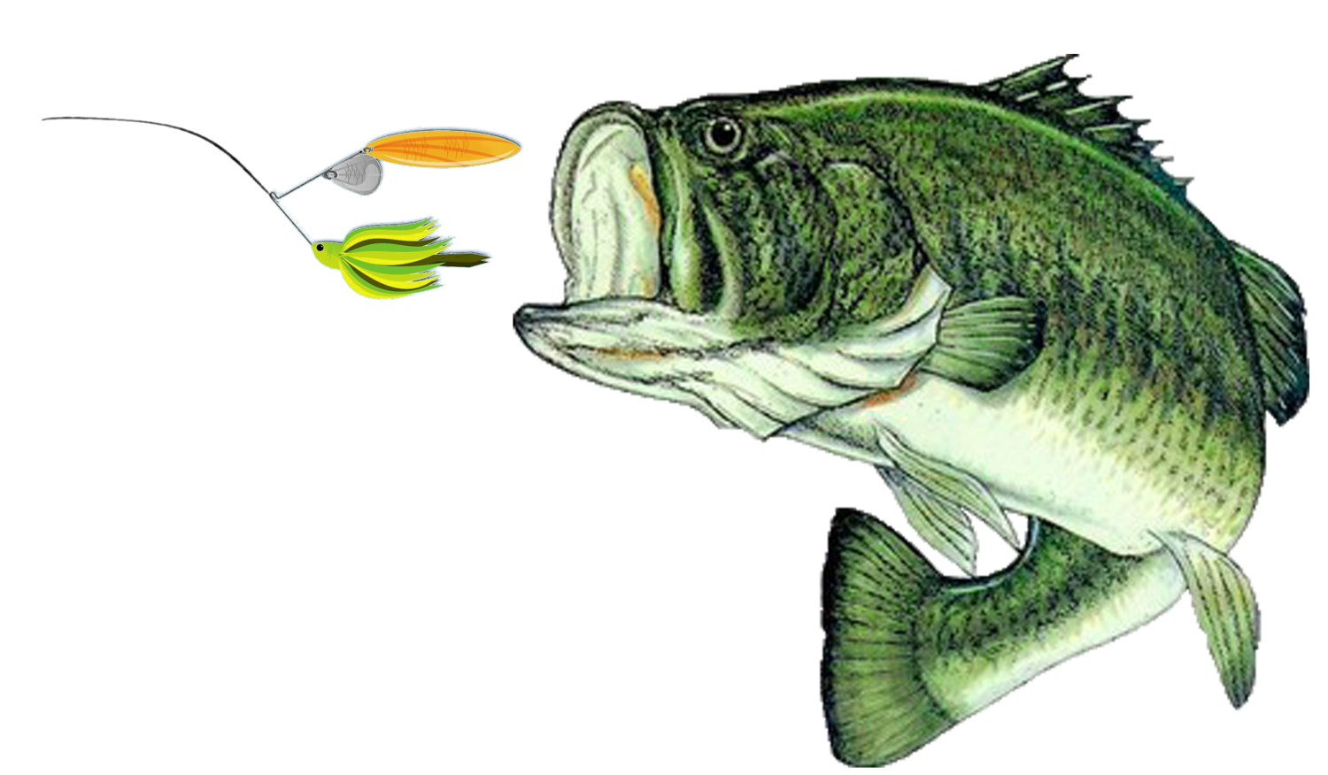 Wing's Live Bait & Tackle Ltd