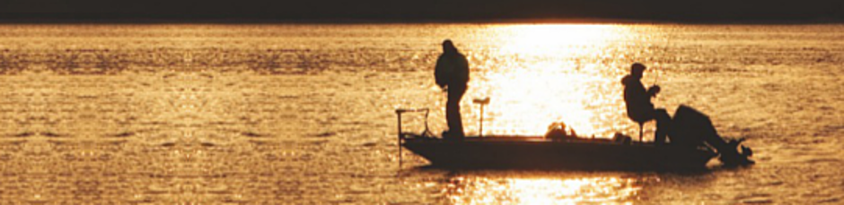Wing's Live Bait & Tackle